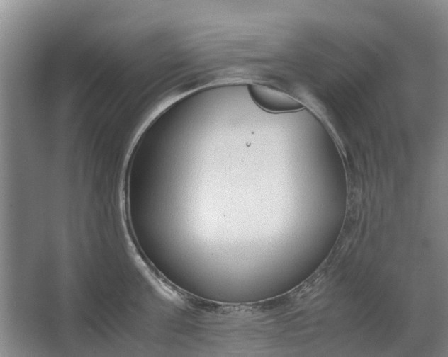 X0000062880811200601271620