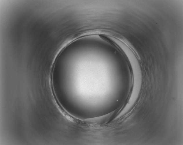 X0000062880813200601271620