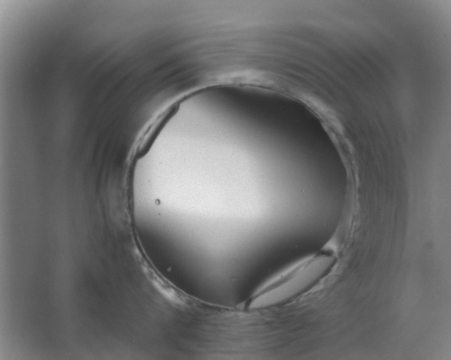 X0000062880816200601271620