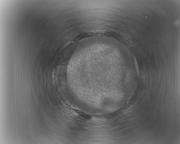 X0000062880818200601271619