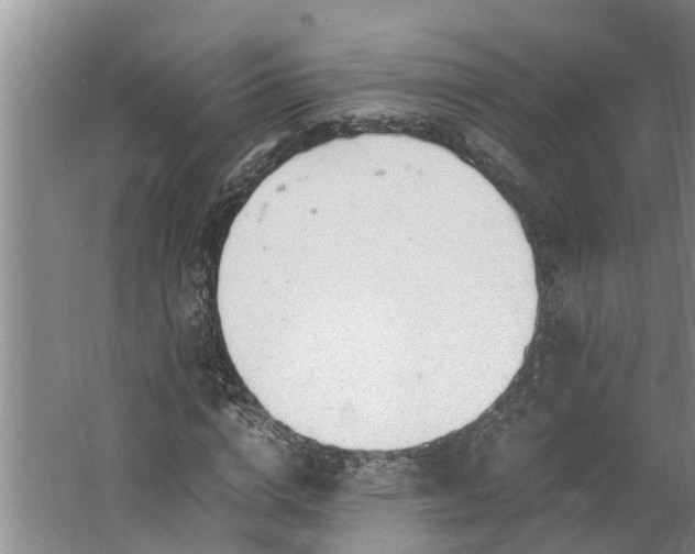 X0000062880824200601271619