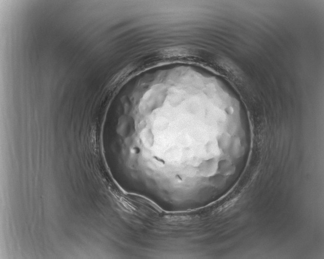 X0000062880825200601271619