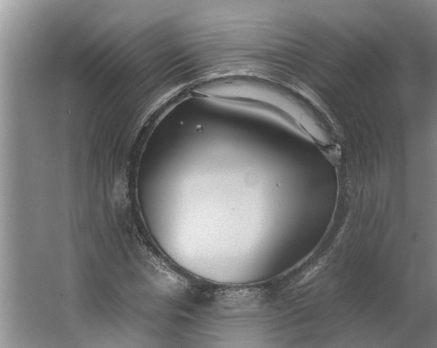 X0000062880826200601271619