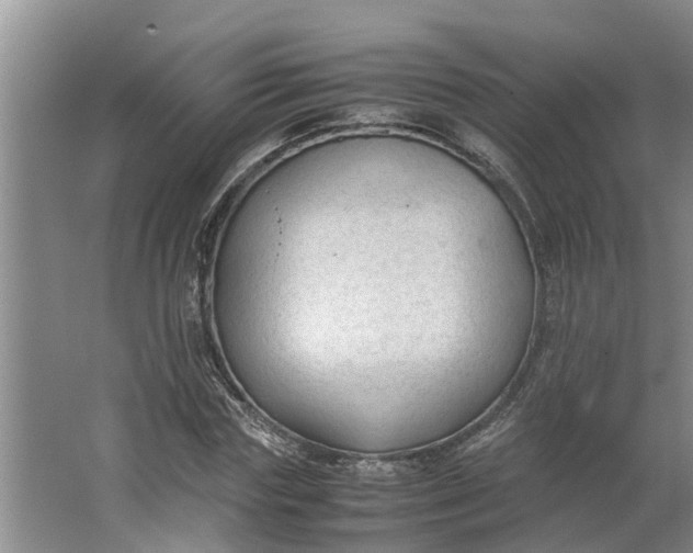 X0000062880827200601271619