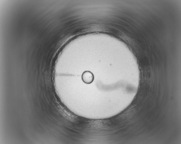 X0000062880828200601271619