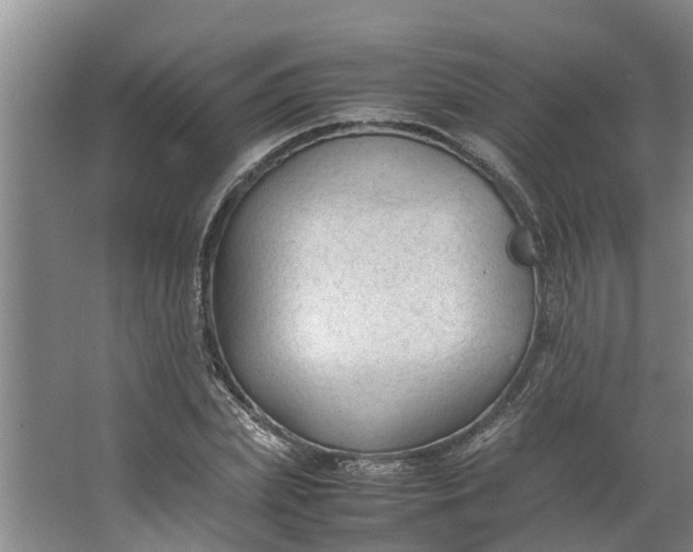 X0000062880831200601271619