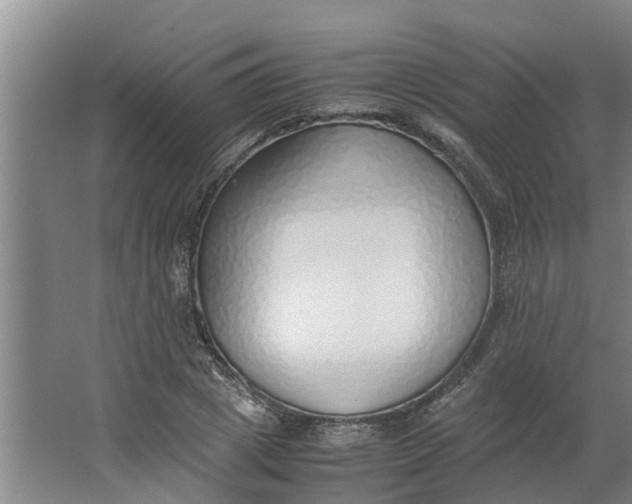 X0000062880833200601271619