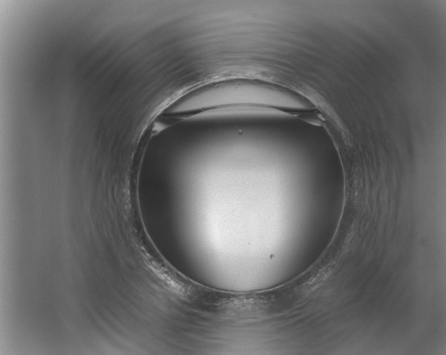 X0000062880834200601271619