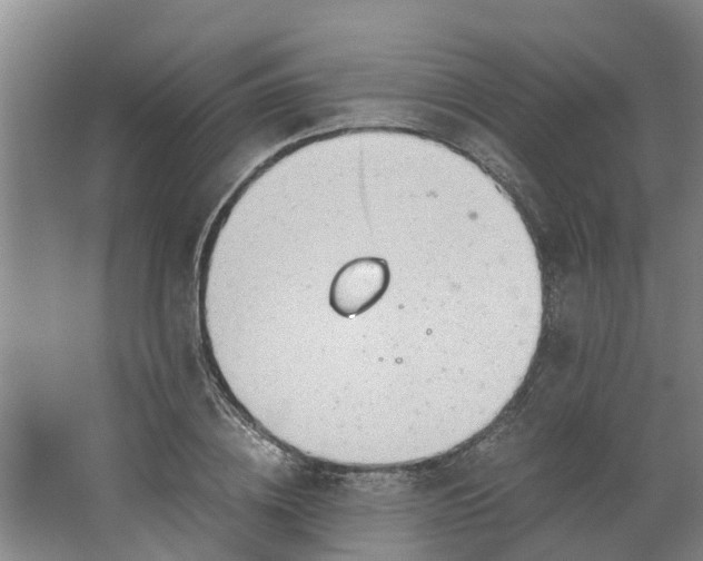 X0000062880836200601271619