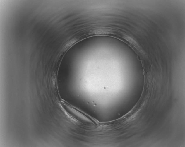 X0000062880841200601271619