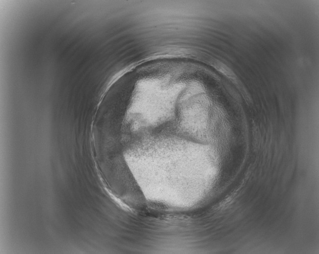 X0000062880842200601271620