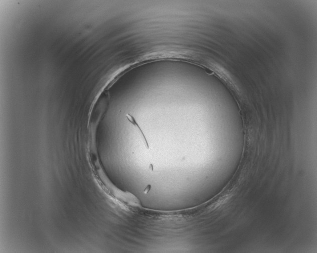 X0000062880844200601271620