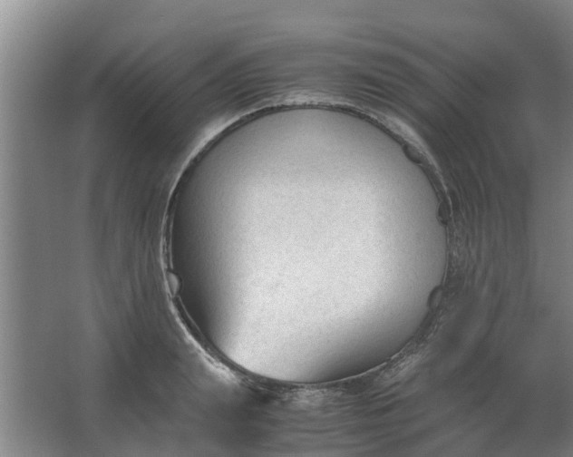 X0000062880847200601271620