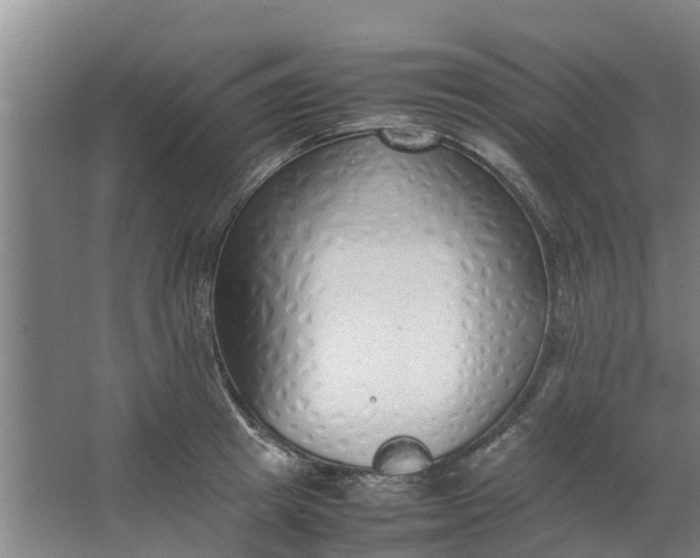 X0000062880849200601271620