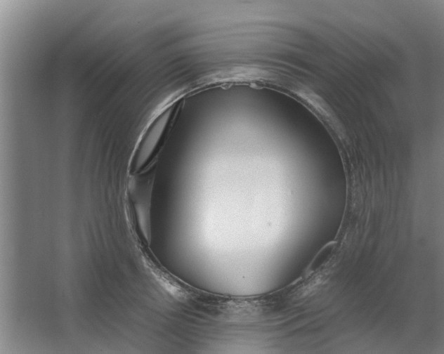 X0000062880850200601271620