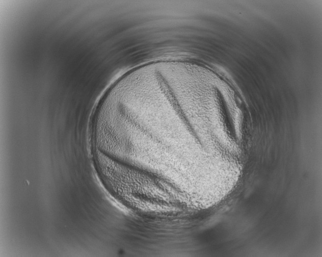 X0000062880851200601271620