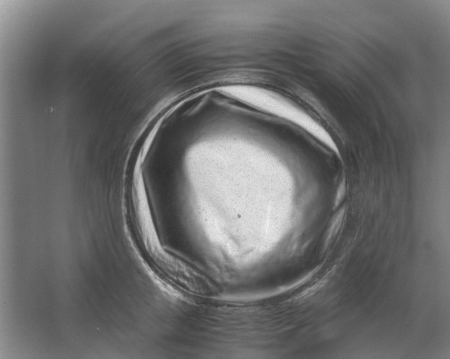 X0000062880853200601271620