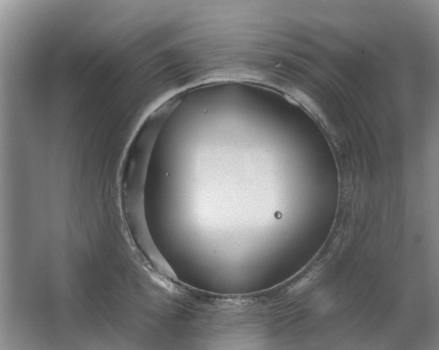 X0000062880854200601271620