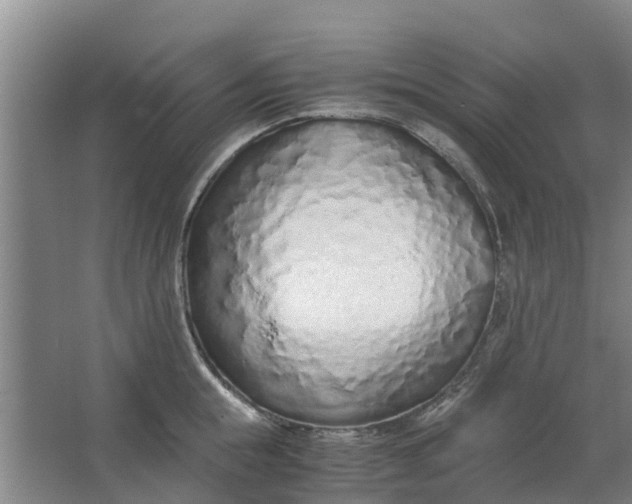 X0000062880855200601271620