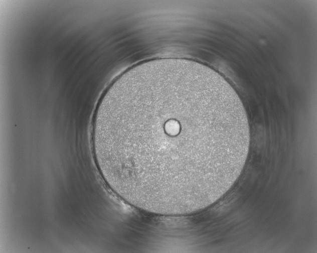 X0000062880856200601271620