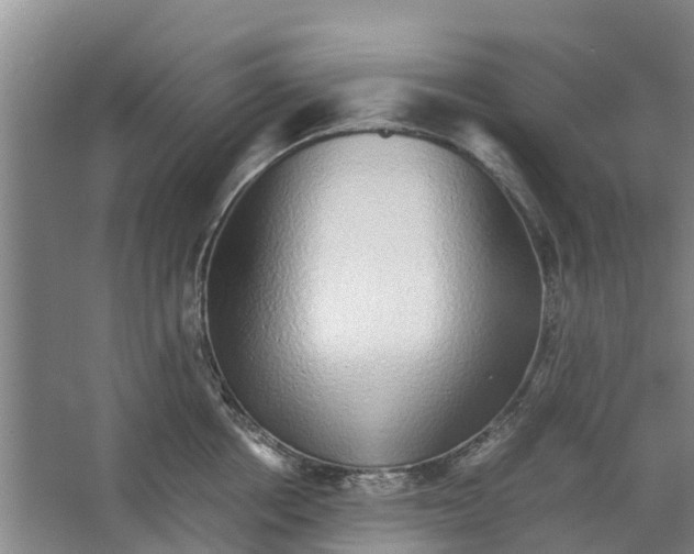 X0000062880858200601271620