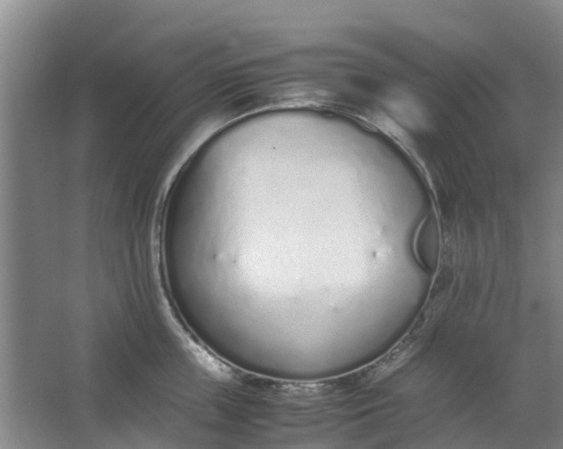 X0000062880859200601271620