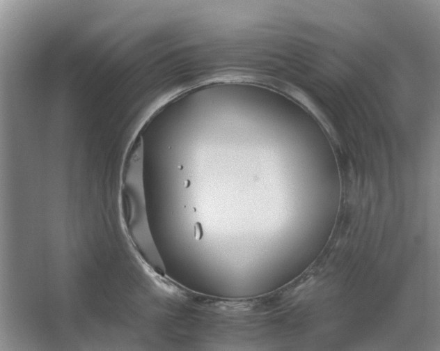 X0000062880861200601271620