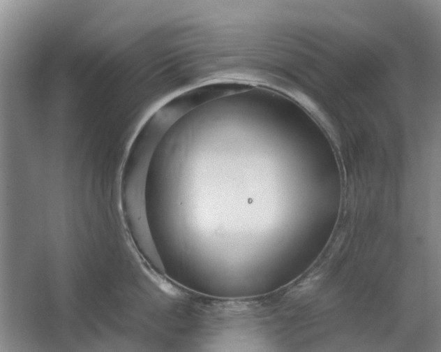 X0000062880862200601271620