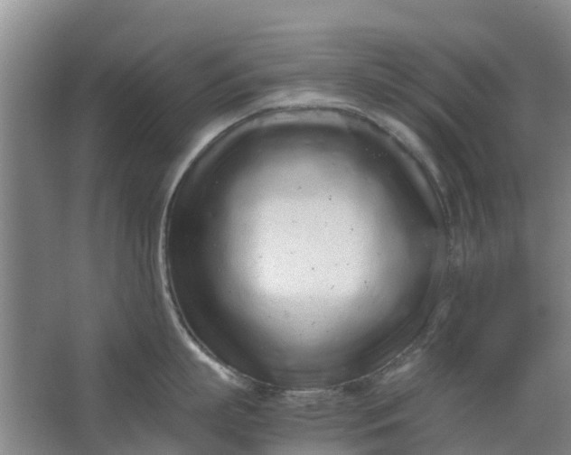 X0000062880863200601271620