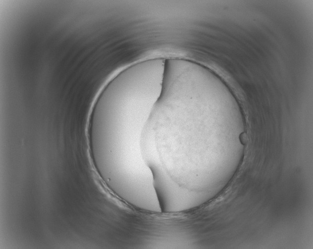 X0000062880864200601271620