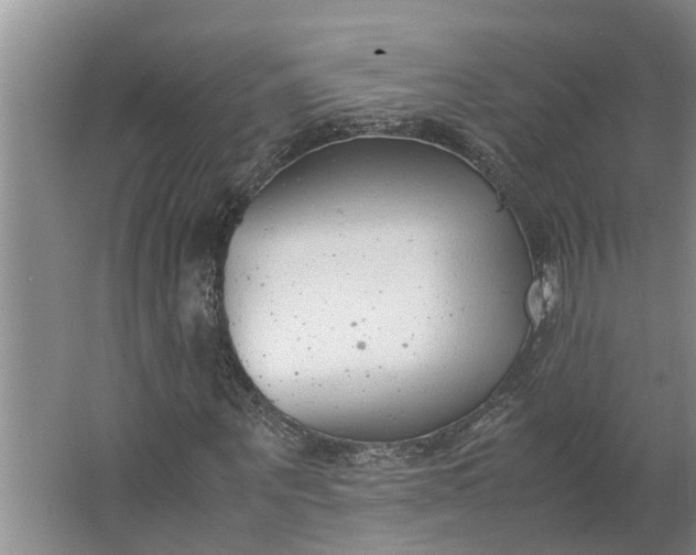 X0000062880867200601271619