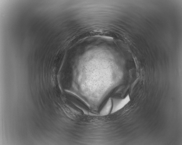 X0000062880868200601271619