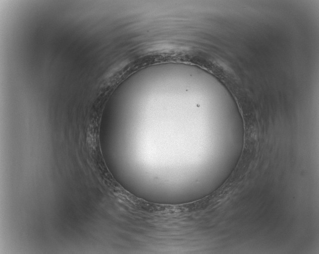 X0000062880869200601271619