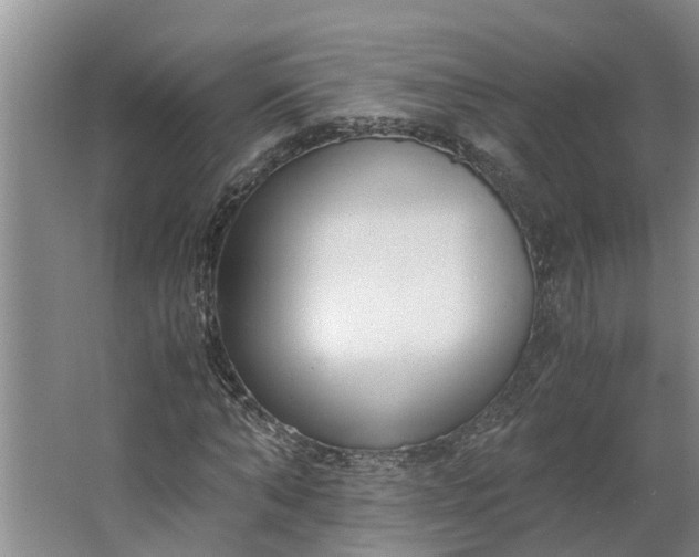 X0000062880870200601271619