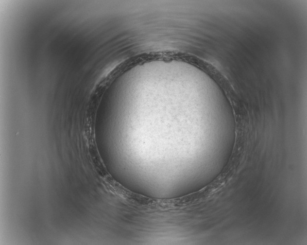 X0000062880871200601271619