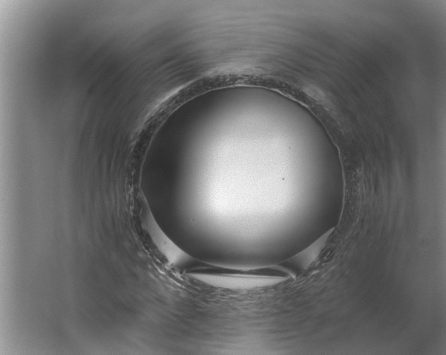 X0000062880872200601271619