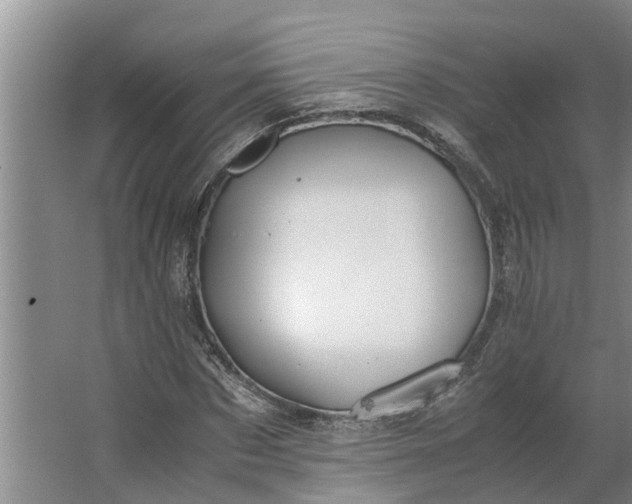 X0000062880873200601271619