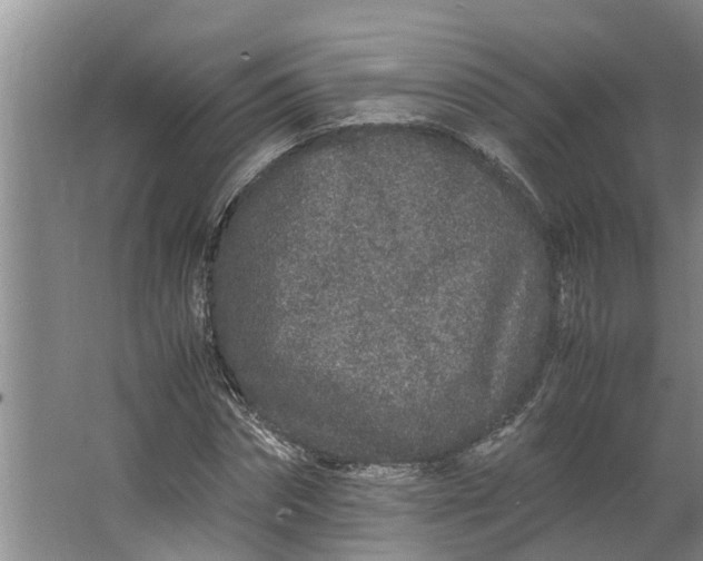 X0000062880874200601271619