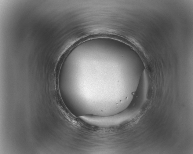 X0000062880877200601271619