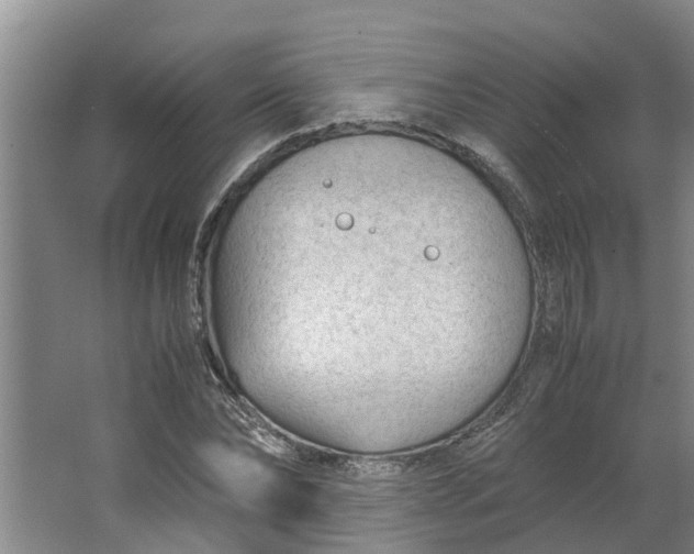 X0000062880878200601271619