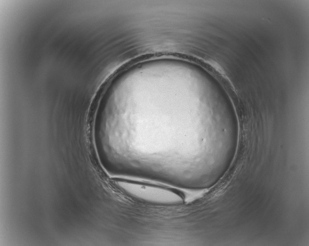 X0000062880879200601271619