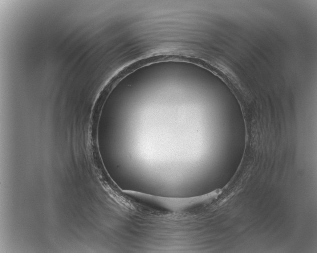 X0000062880880200601271619