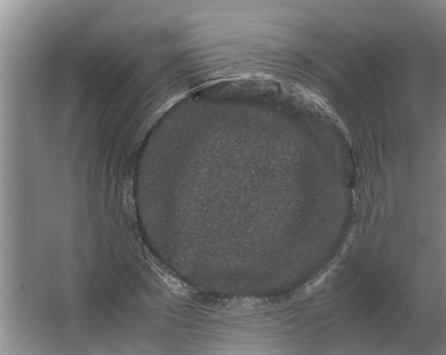 X0000062880881200601271619