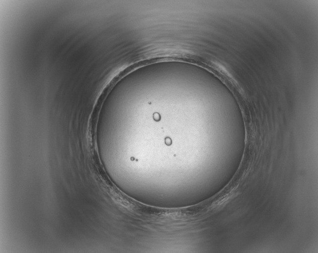 X0000062880883200601271619