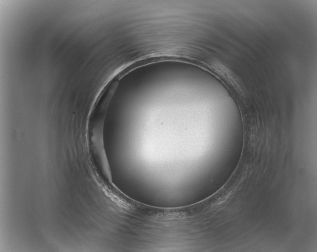 X0000062880884200601271619