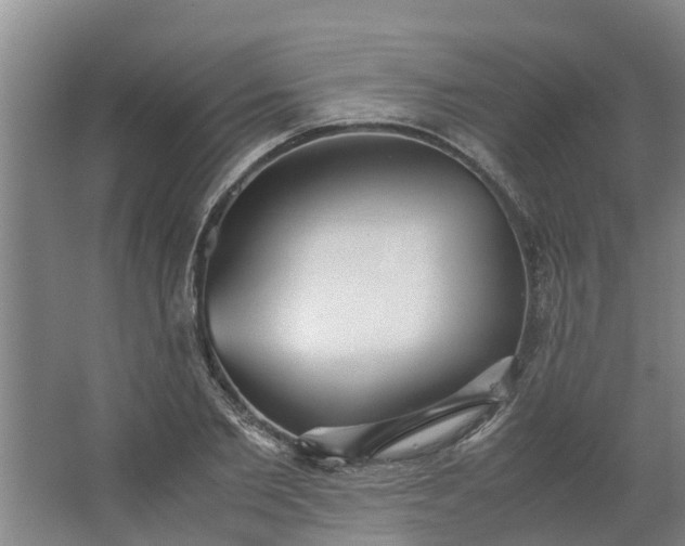 X0000062880885200601271619