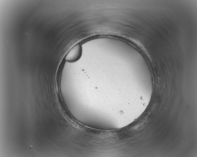 X0000062880887200601271619