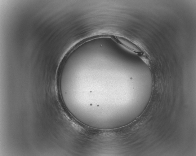 X0000062880888200601271619