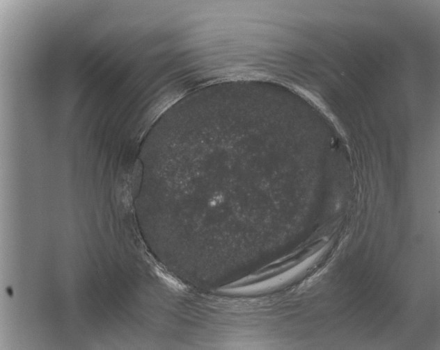 X0000062880889200601271619