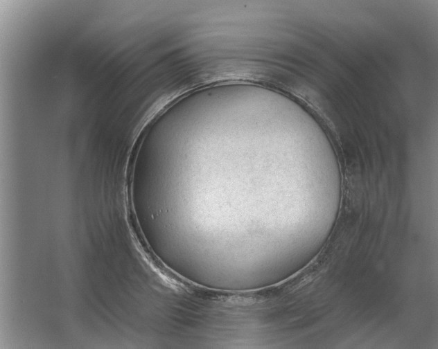 X0000062880890200601271619